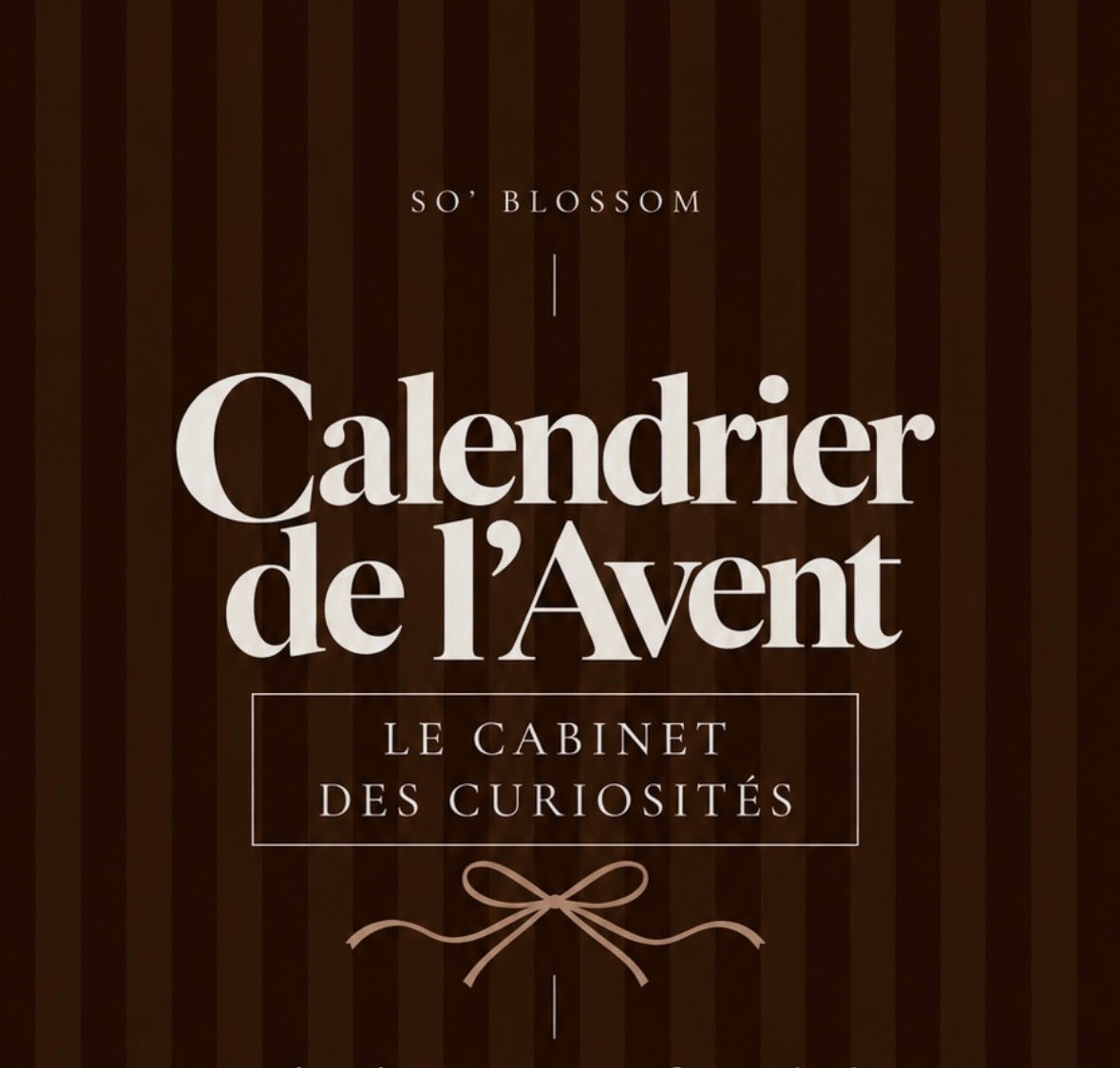 Calendrier de l’avent - LE CABINET DES CURIOSITÉS