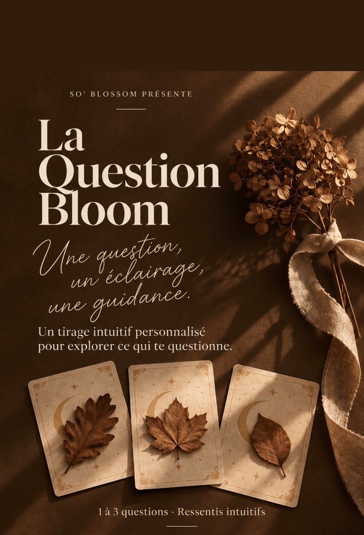 La question Bloom 🤎
