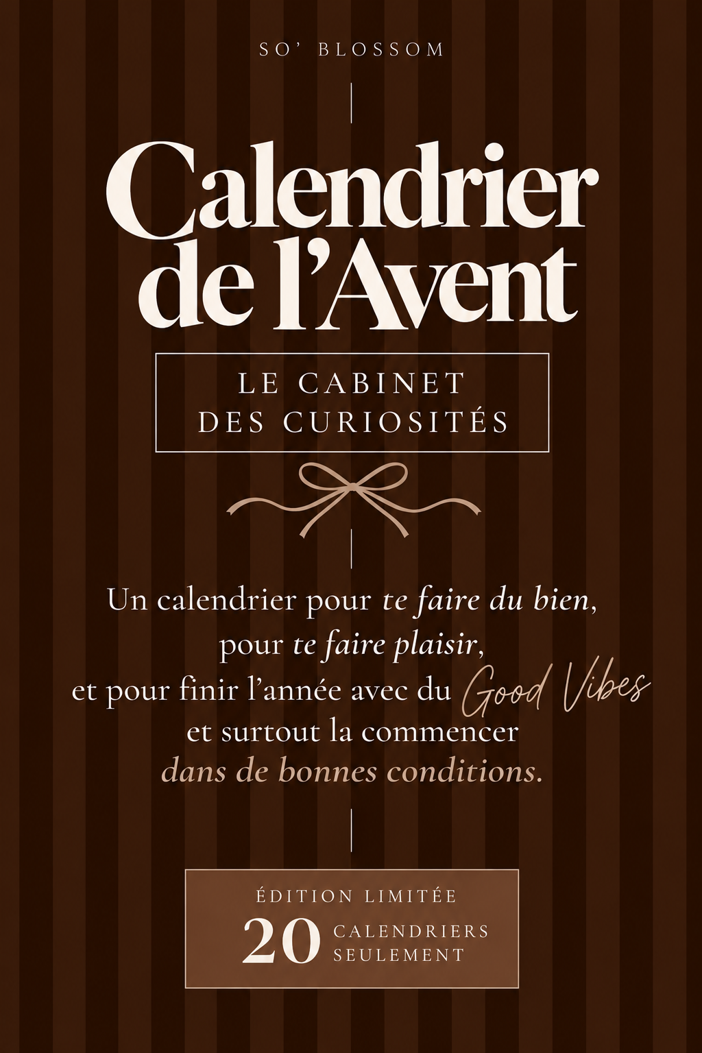 Calendrier de l’avent - LE CABINET DES CURIOSITÉS